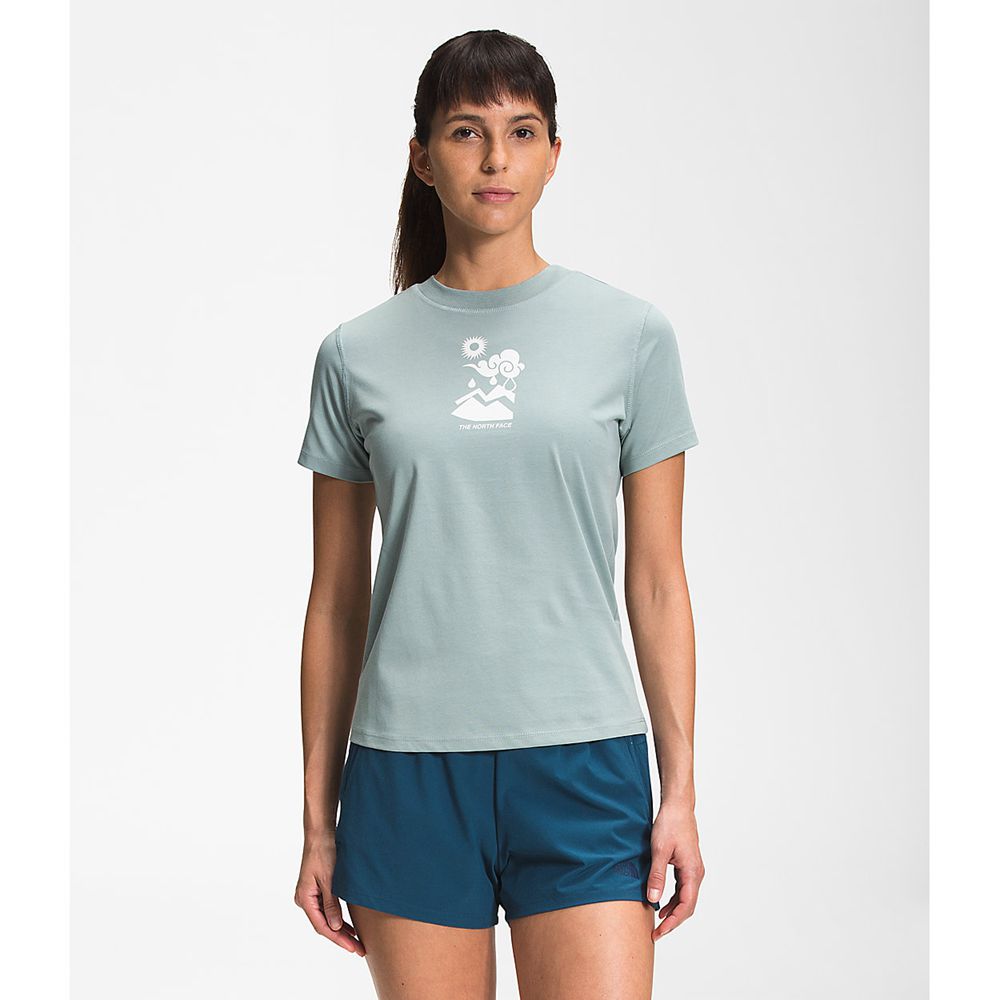 The North Face T-Shirts Womens Australia - The North Face Short Sleeve Himalayan Bottle Source Silve